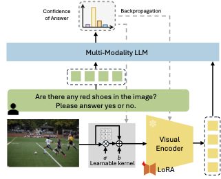 Demystifying the Visual Quality Paradox in Multimodal Large Language Models